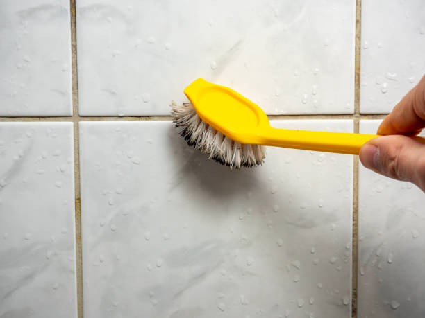 Best Mold Damage Repair  in Hudson, OH