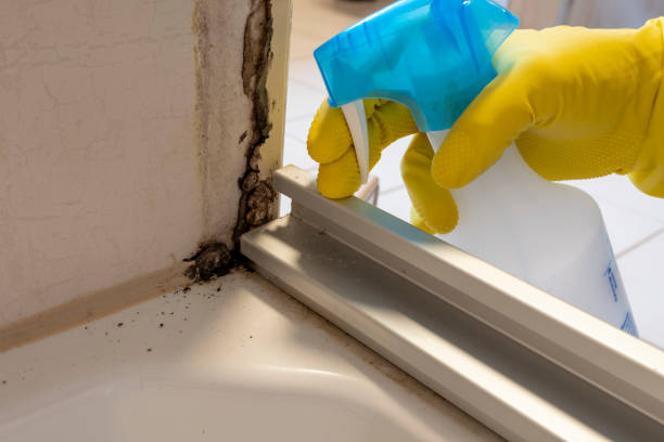 Best Home Mold Removal  in Hudson, OH