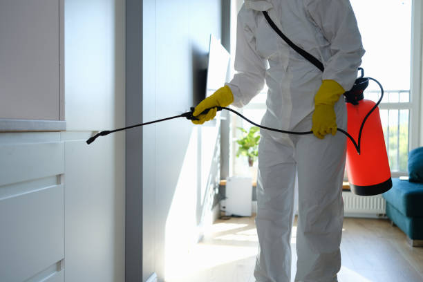 Best Mold Remediation Services  in Hudson, OH