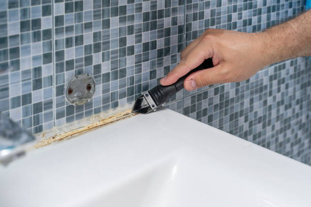 Trusted Hudson, OH Mold Removal Experts